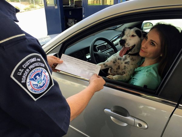 Quels sont les tarifs du permis de conduire ?
